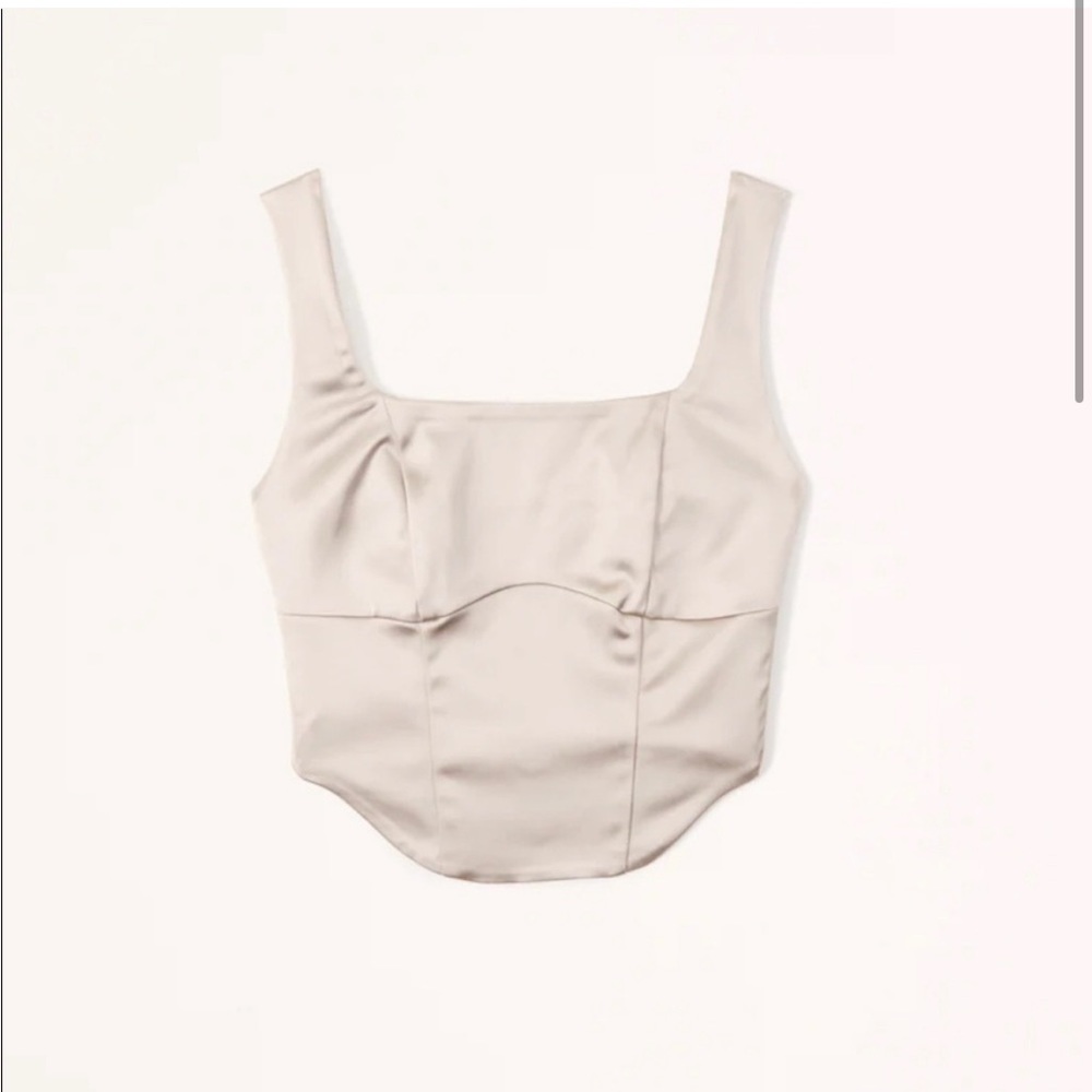 Abercrombie Satin Corset Top